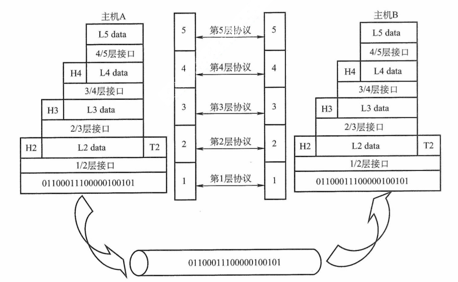 网络各层数据单元的联系