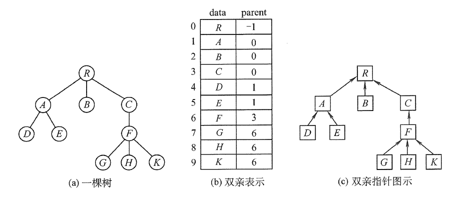 树的双亲表示法