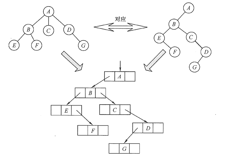 树与二叉树的对应关系