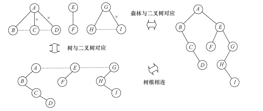 森林与二叉树的对应关系