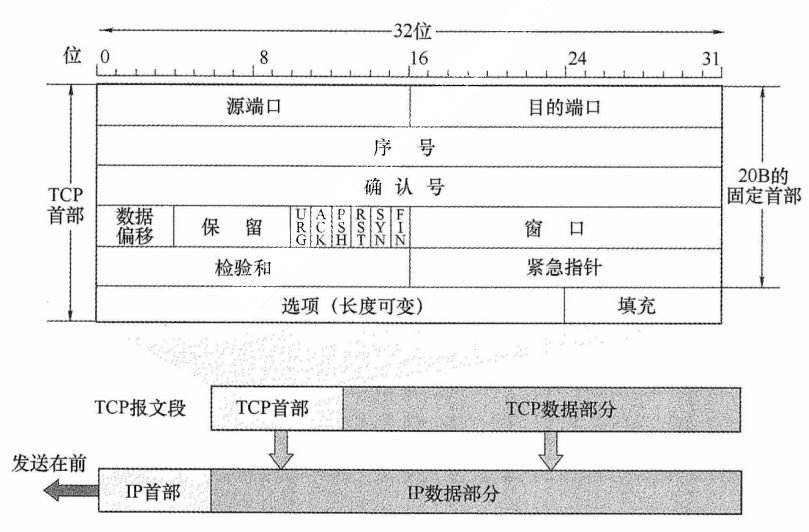TCP报文段