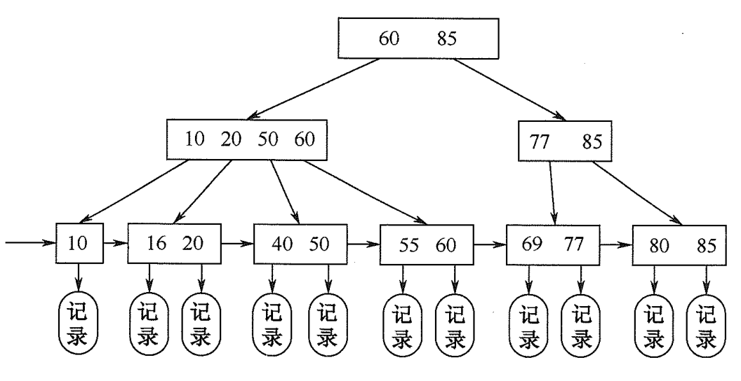 B+树结构示意图