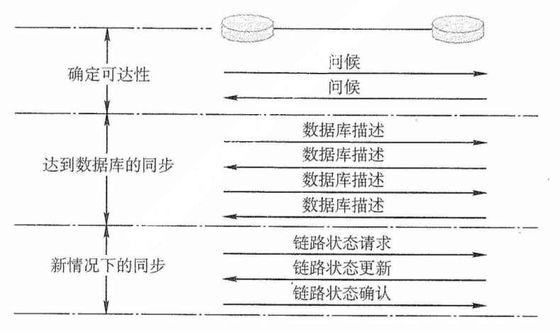 OSPF的基本操作
